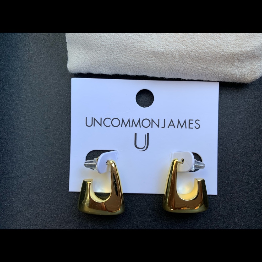 Uncommon James Earrings NWT